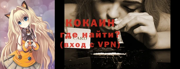 СК Ельня