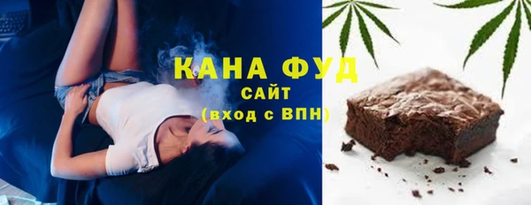 СК Ельня