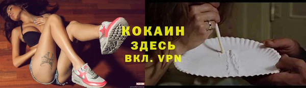 стафф Каменногорск
