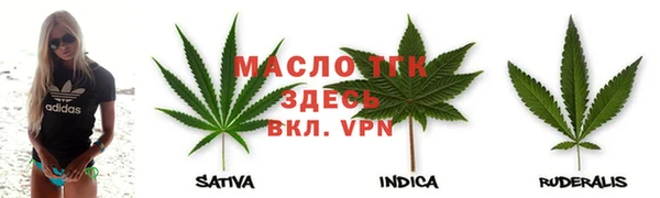 СК Ельня