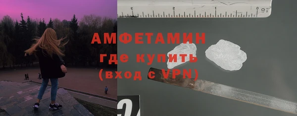 СК Ельня