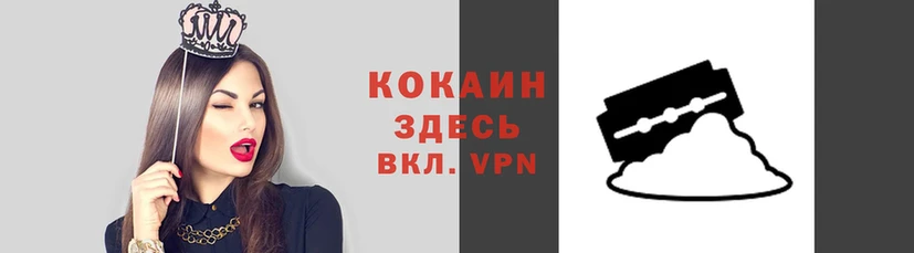 СК Ельня