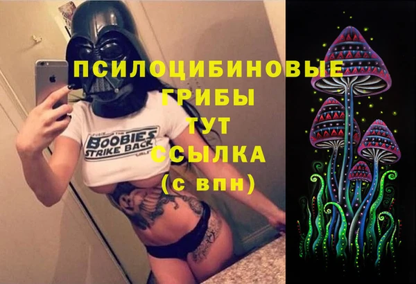 СК Ельня