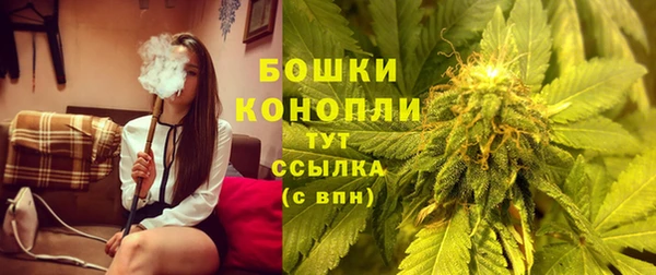 СК Ельня