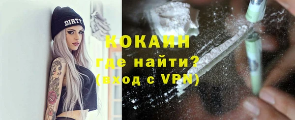СК Ельня