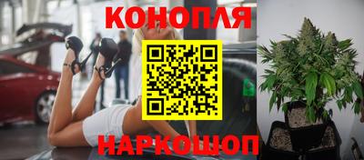 соль курить ск Гусев