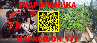 марихуана Гусиноозёрск