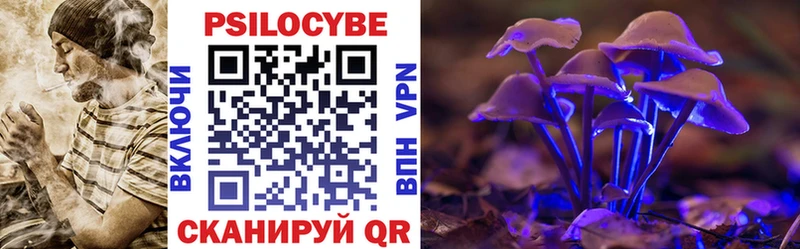 Псилоцибиновые грибы Cubensis  Еманжелинск 