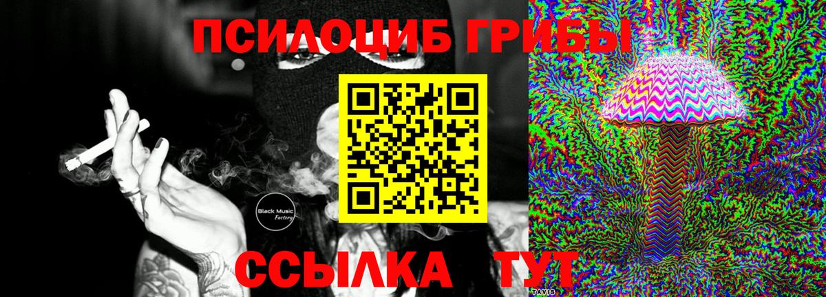 Еманжелинск  продажа наркотиков  Псилоцибиновые грибы Magic Shrooms  Вход с VPN  Псилоцибиновые грибы мухоморы 