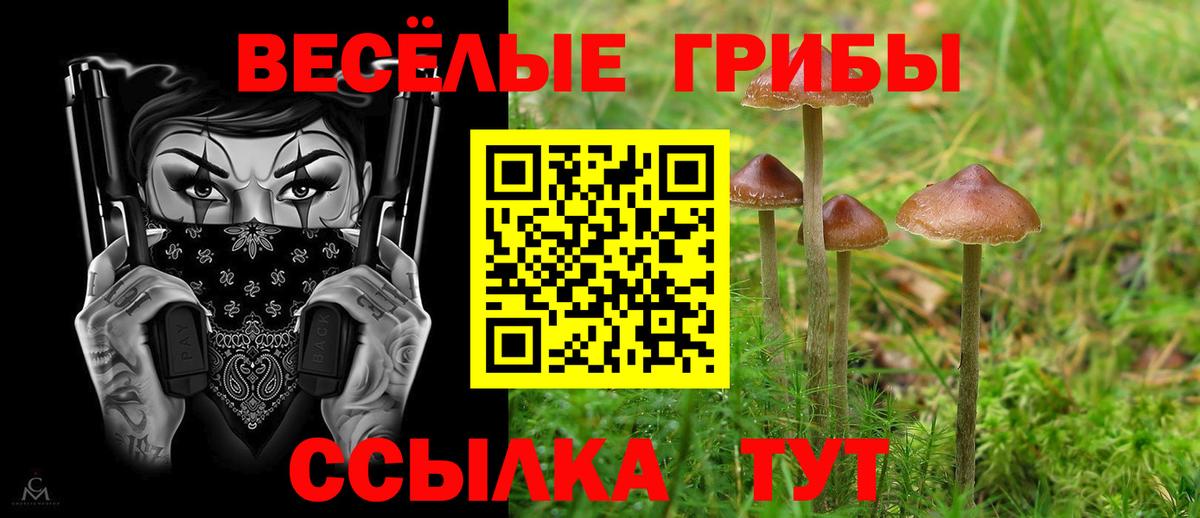 Псилоцибиновые грибы мухоморы Еманжелинск